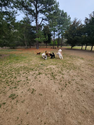 Delaware Dog Park